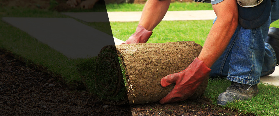 Lisle Landscapers